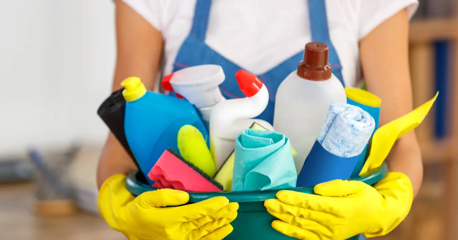 Takarítás Pest vármegyében (Pest megye)